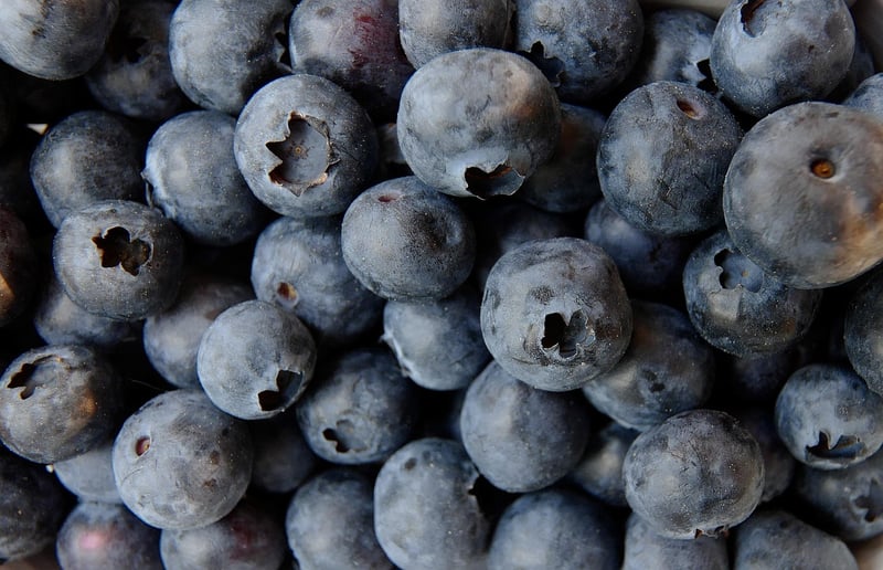 Healthy Blueberry Dessert